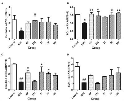 Baicalin Protects Vascular Tight Junctions in Piglets During Glaesserella parasuis Infection